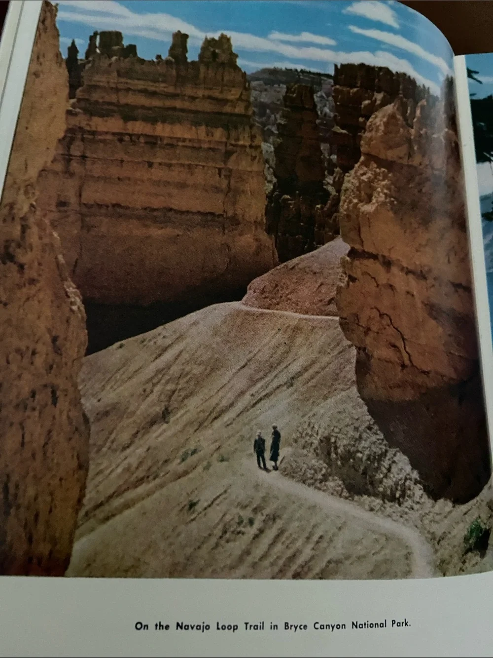 Vintage 1960s 60s USA U.S. American National Park & Monuments book Parks America